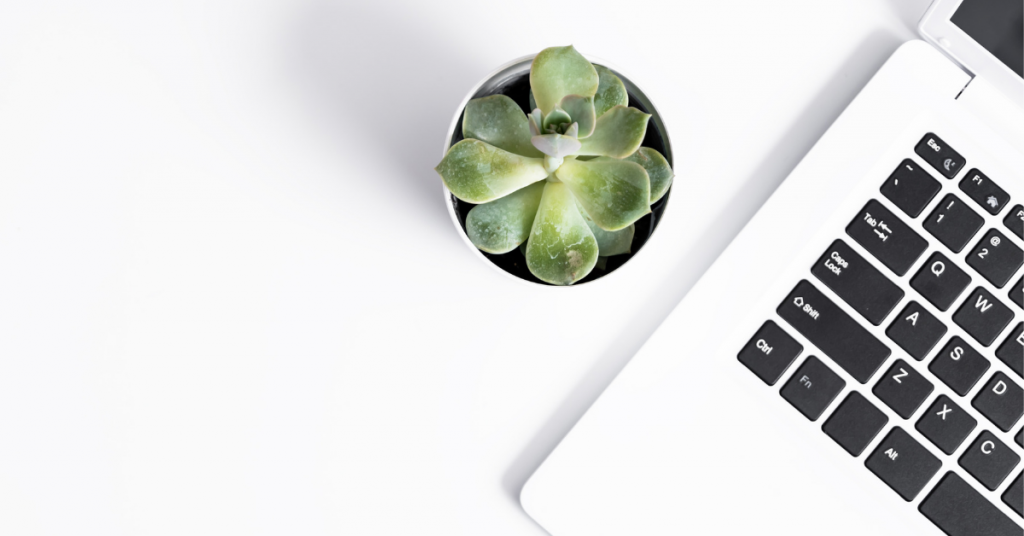 laptop and succulent on white desk
