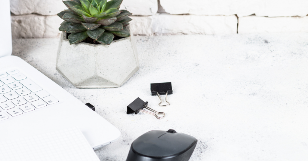 Laptop and Succulent Minimalist Desk